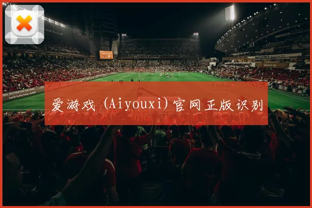 爱游戏 (Aiyouxi)官网正版识别